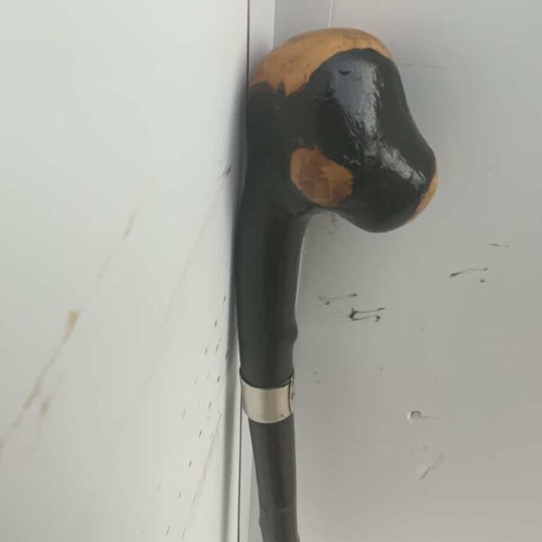 Irish Blackthorn Gentleman’s walking stick sword stick - Image 9