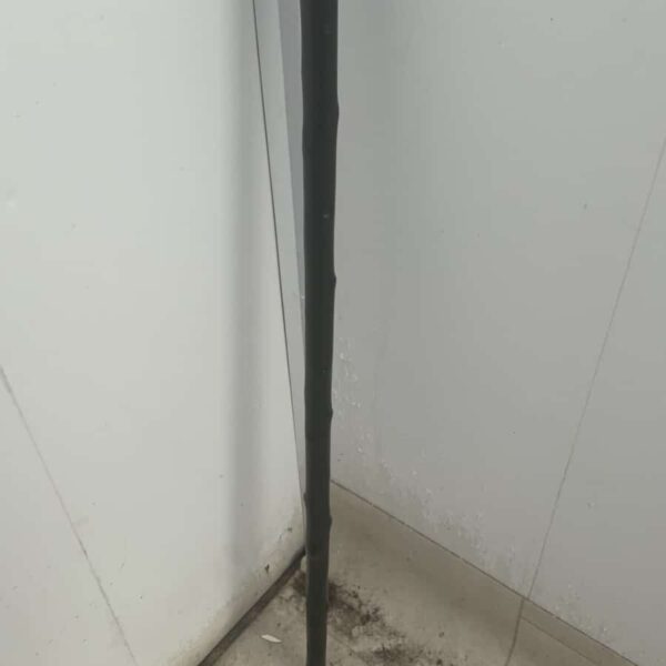 Irish Blackthorn Gentleman’s walking stick sword stick - Image 4