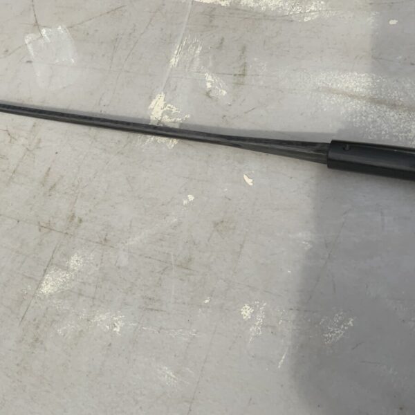 Gentleman’s Ebony walking stick sword stick with silver top - Image 16