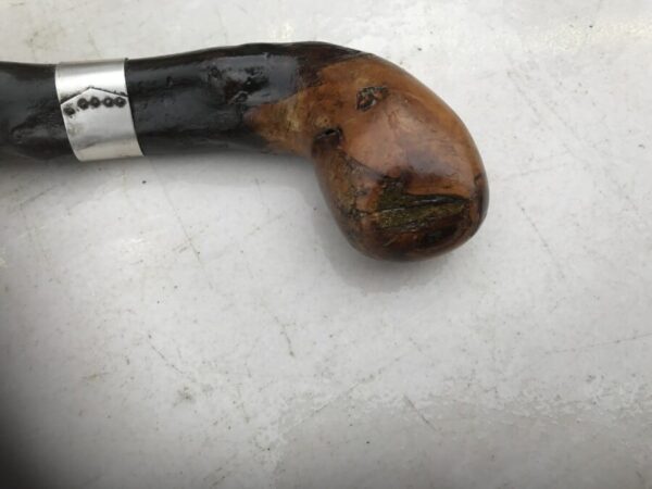 Irish Blackthorn walking stick sword stick The Best of the Best - Image 35