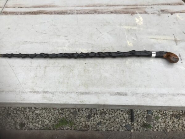Irish Blackthorn walking stick sword stick The Best of the Best - Image 9