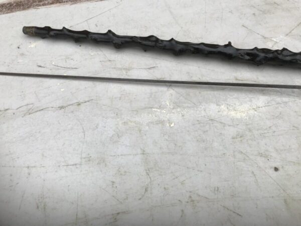 Irish Blackthorn walking stick sword stick The Best of the Best - Image 24