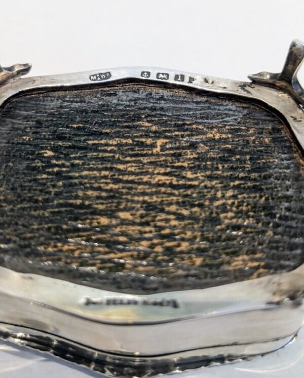 Tortoiseshell, Silver Box - Image 5