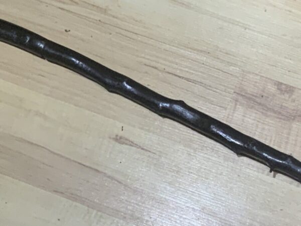 Blackthorn Gentleman’s Walking Stick Sword Stick Miscellaneous 6
