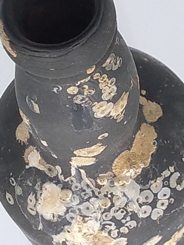 Shipwreck Diver Found Old Bottle From The Wreck 'Heroine' - Image 2