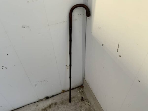 Gentleman’s walking stick sword stick