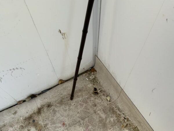 Gentleman’s walking stick sword stick - Image 9