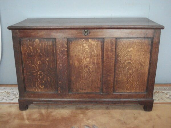 Panelled all around 19th Century Coffer with plain lid Antique Coffers 3