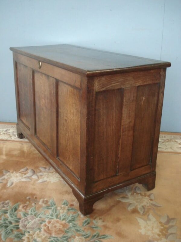 Panelled all around 19th Century Coffer with plain lid Antique Coffers 4