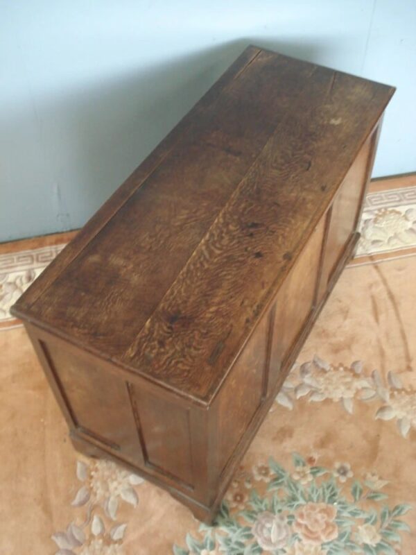 Panelled all around 19th Century Coffer with plain lid - Image 7