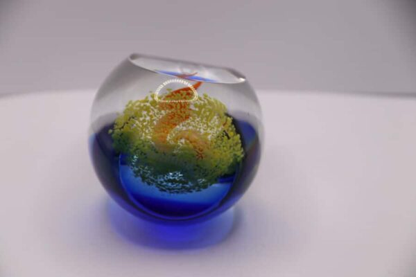 Caithness Phoenix Paperweight 755/1000 - Image 4