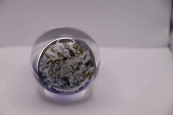 Caithness Shakespeare Hamlet Paperweight 52/100 Caithness Glass Antique Glassware 6