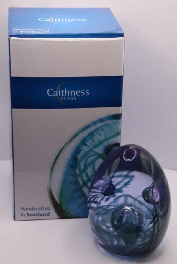 Caithness Tartan Weave Ancient Paperweight Caithness Glass Antique Glassware 5