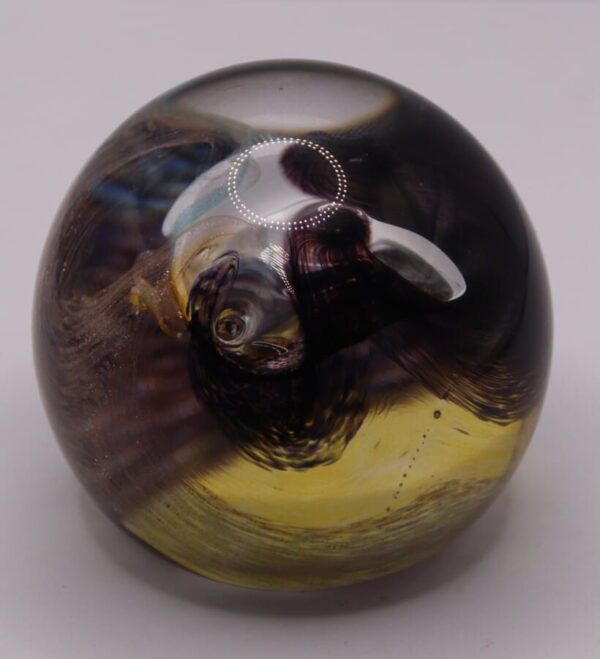 Caithness Glass 50th Golden Moon Crystal Paperweight - Image 6