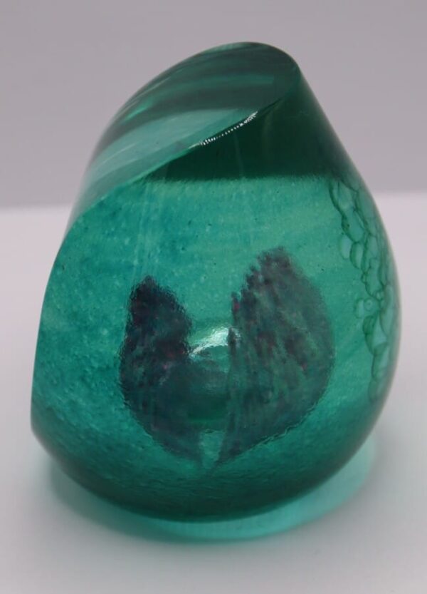 Caithness Ocean Treasure Paperweight 99/650 - Image 2