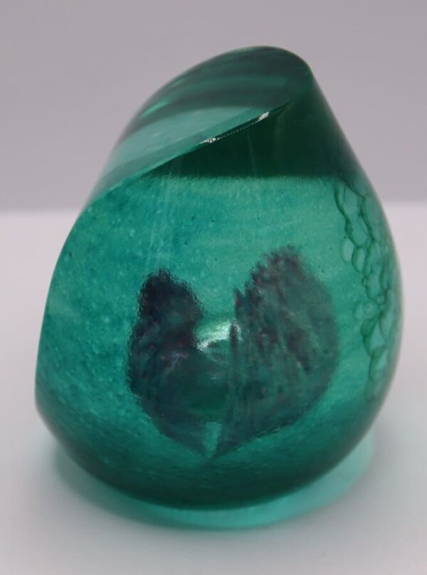 Caithness Ocean Treasure Paperweight 99/650 - Image 6