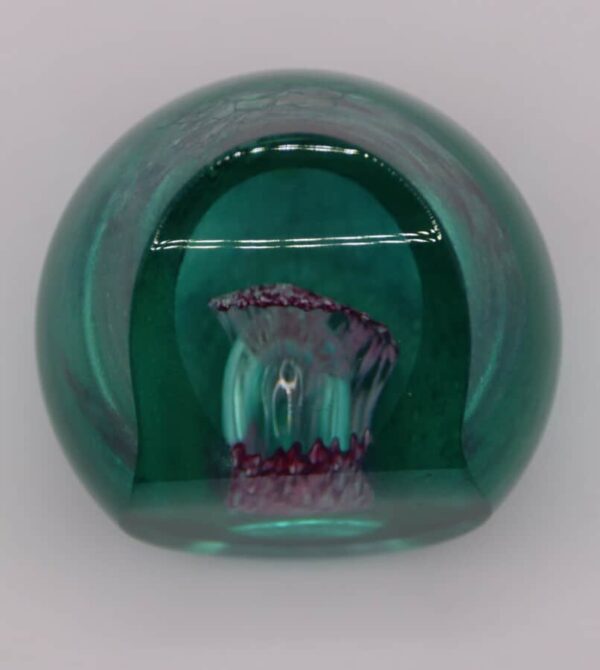Caithness Ocean Treasure Paperweight 99/650 Caithness Glass Antique Glassware 7