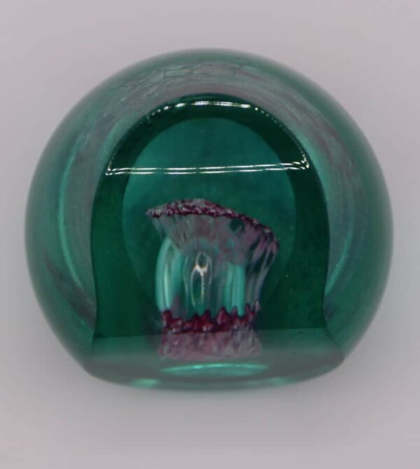 Caithness Ocean Treasure Paperweight 99/650 - Image 5