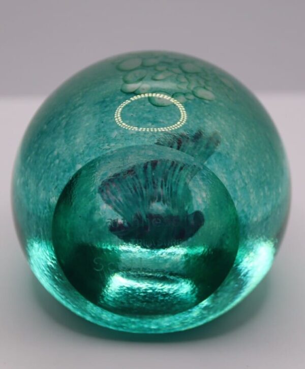 Caithness Ocean Treasure Paperweight 99/650 Caithness Glass Antique Glassware 6