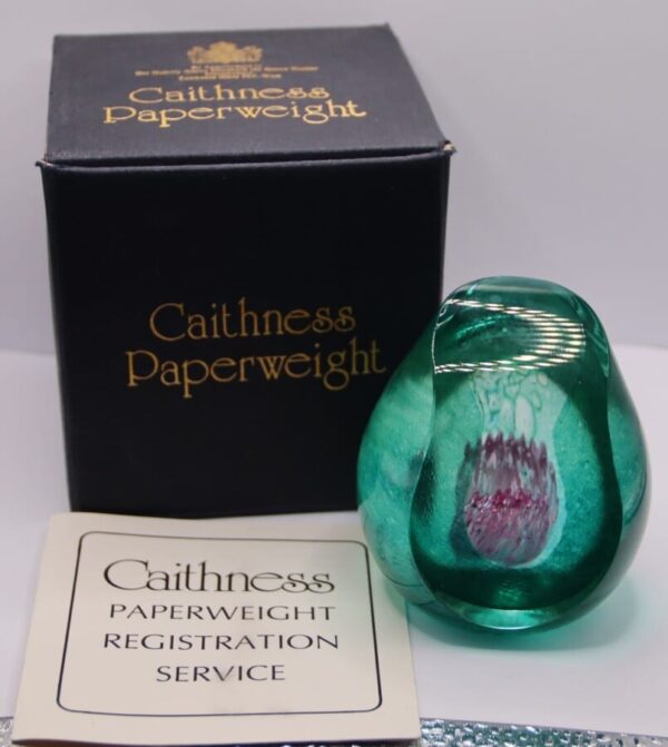 Caithness Ocean Treasure Paperweight 99/650 Caithness Glass Antique Glassware 5
