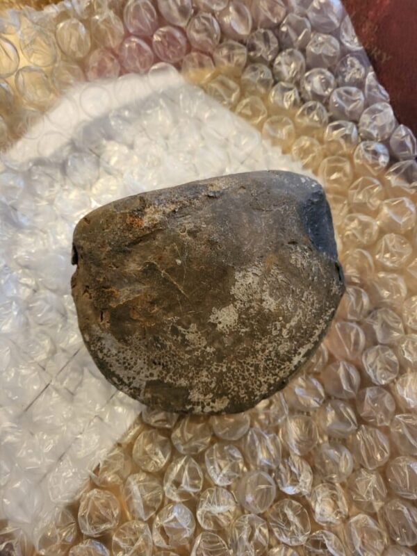 Jurassic fossilised giant Mussel shell 110 million years old collectable Antique Collectibles 5