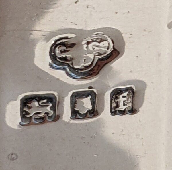 Silver Shaker Sugar - Image 6