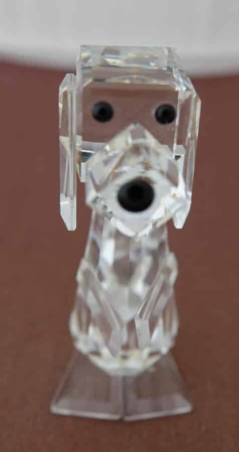 Dog swarovski sale