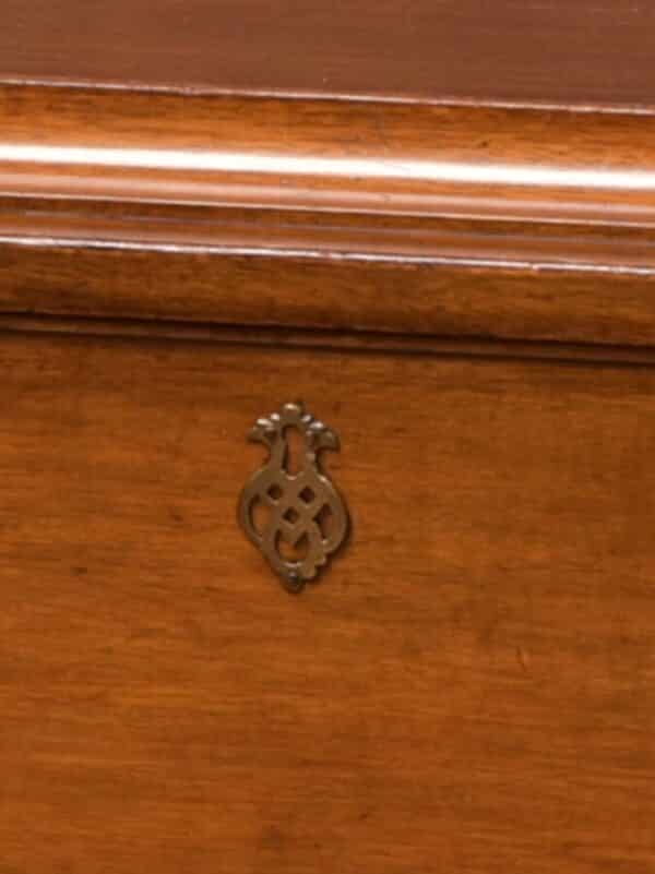 Edwardian Mahogany Sarcophagus Coal Box SAI2701 - Image 2