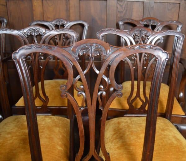 Set Of 8 Chippendale Style Dining Chairs SAI2840 Chippendale style Antique Chairs 4