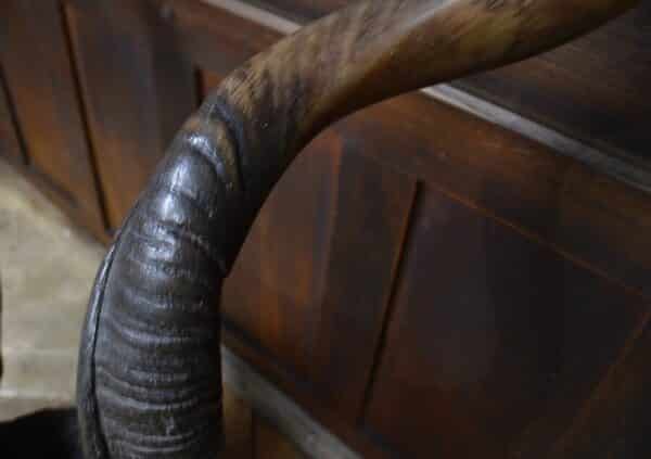 19th Century Kudu Horns / Antlers SAI2826 - Image 9