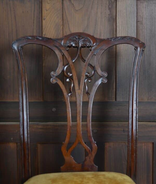 Set Of 8 Chippendale Style Dining Chairs SAI2840 Chippendale style Antique Chairs 7