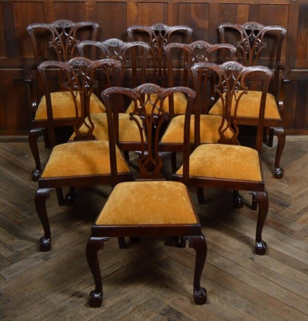 Set Of 8 Chippendale Style Dining Chairs SAI2840 Chippendale style Antique Chairs 16