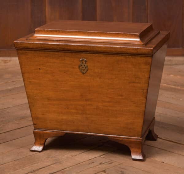 Edwardian Mahogany Sarcophagus Coal Box SAI2701
