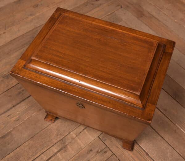Edwardian Mahogany Sarcophagus Coal Box SAI2701 - Image 3