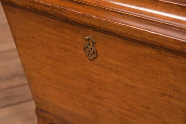 Edwardian Mahogany Sarcophagus Coal Box SAI2701 - Image 4