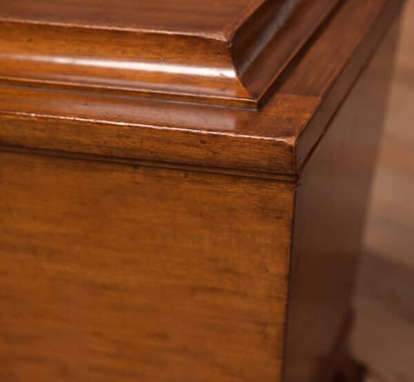 Edwardian Mahogany Sarcophagus Coal Box SAI2701 - Image 5