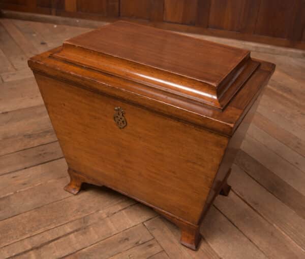 Edwardian Mahogany Sarcophagus Coal Box SAI2701 - Image 6