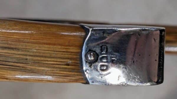 Silver tipped Walking Cane - Image 5