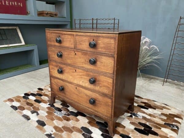 Antique Mahogany Georgian 2 over 3 Chest of Drawers, c 1820 Chest Miscellaneous 4
