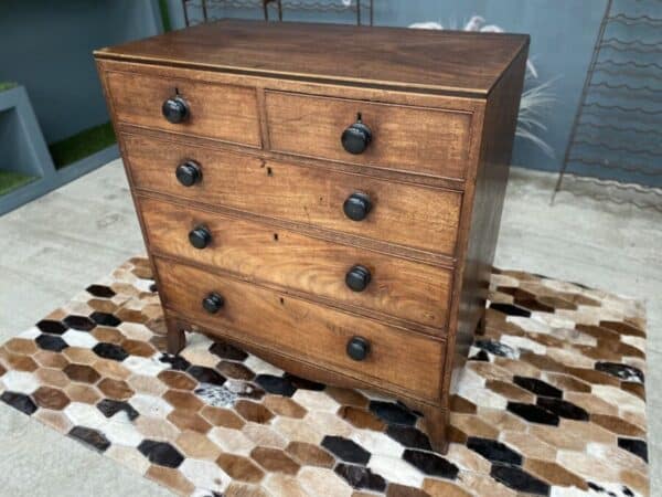 Antique Mahogany Georgian 2 over 3 Chest of Drawers, c 1820 - Image 11