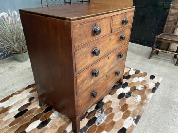 Antique Mahogany Georgian 2 over 3 Chest of Drawers, c 1820 - Image 3