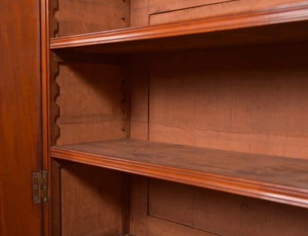 Victorian Mahogany Bookcase SAI2758 - Image 9