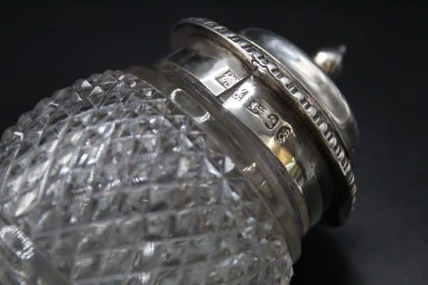 Georgian Silver Glass Mustard Pot - Image 4
