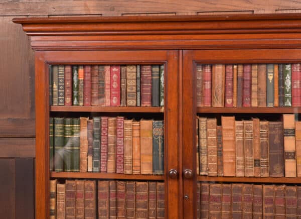 Victorian Mahogany Bookcase SAI2736 - Image 7