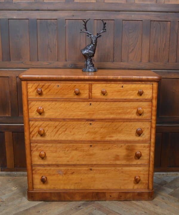 Victorian Satin Wood Chest Of Drawers SAI2893 - Image 2