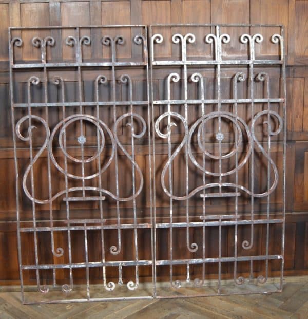 Wrought Iron Panels/ Gates SAI2929 - Image 11