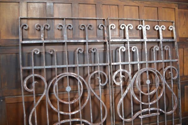 Wrought Iron Panels/ Gates SAI2929 - Image 10