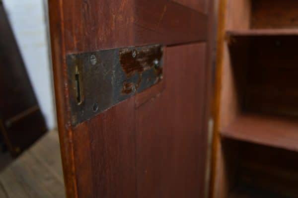 Victorian Satin Birch Cupboard SAI2941 - Image 4