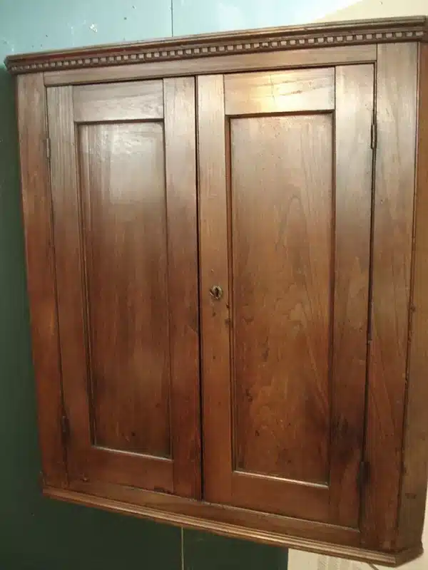Elm Two Door Hanging Corner Cupboard