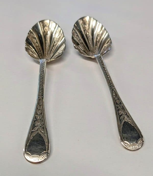 Exeter Pair Spoons